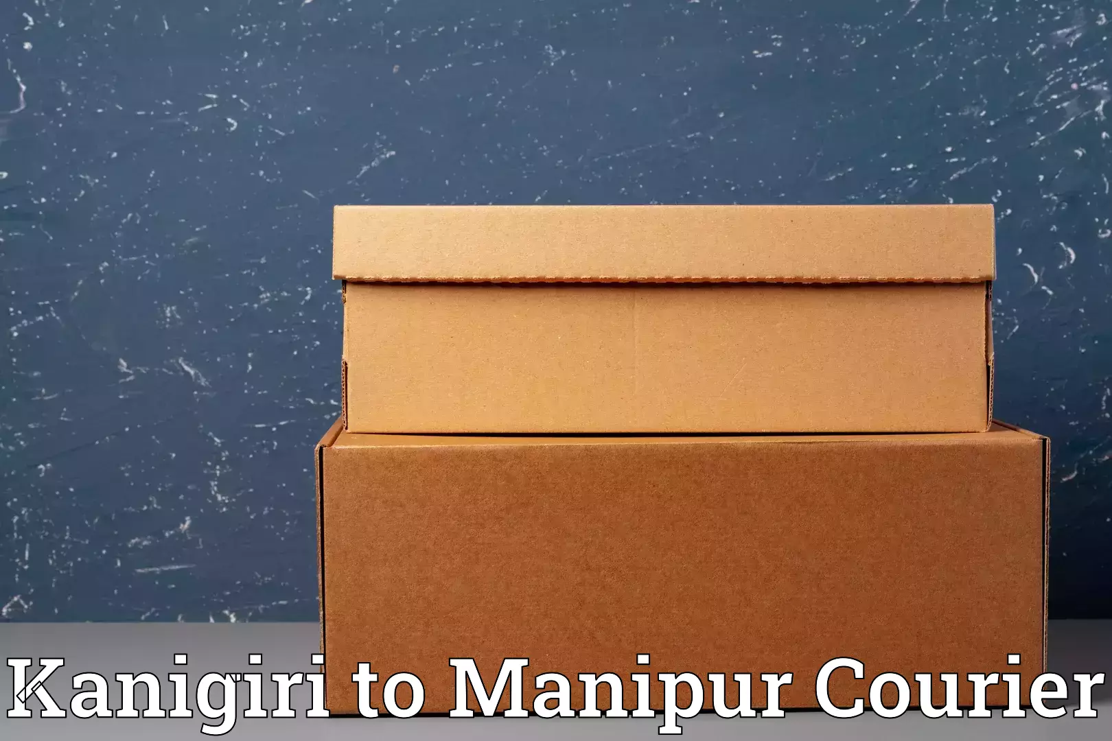 Smart baggage shipping Kanigiri to Kaptipada