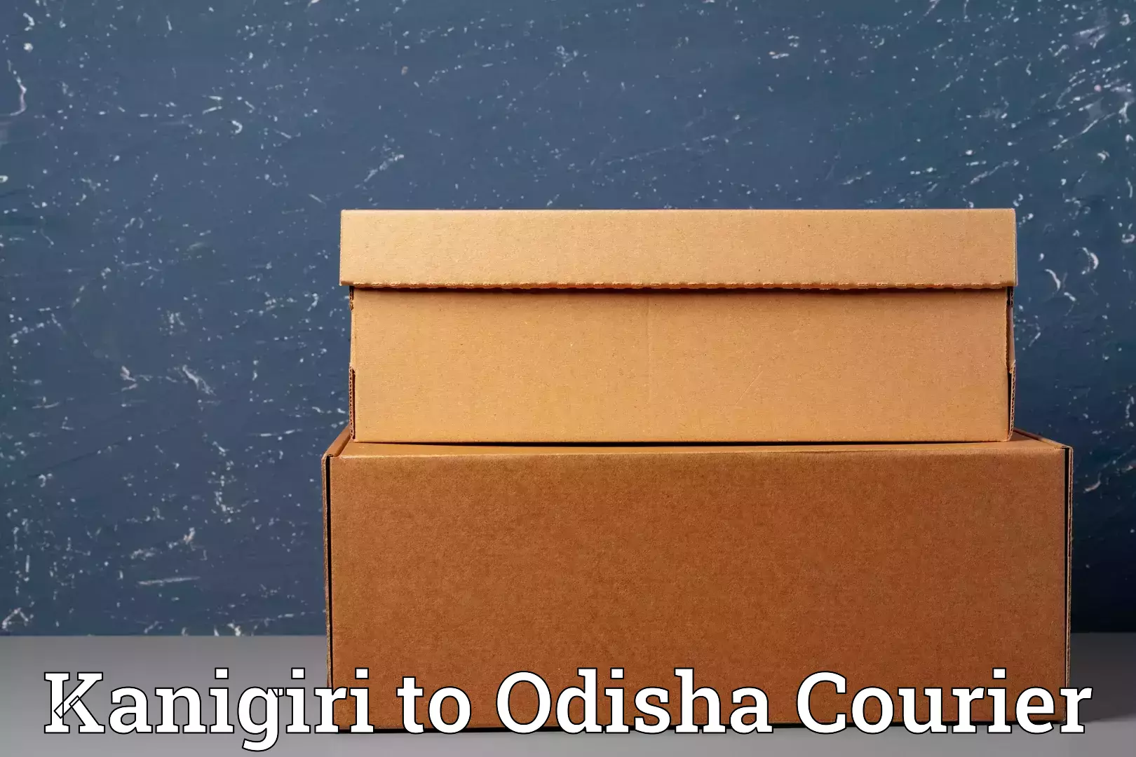 Direct baggage courier Kanigiri to Nirakarpur