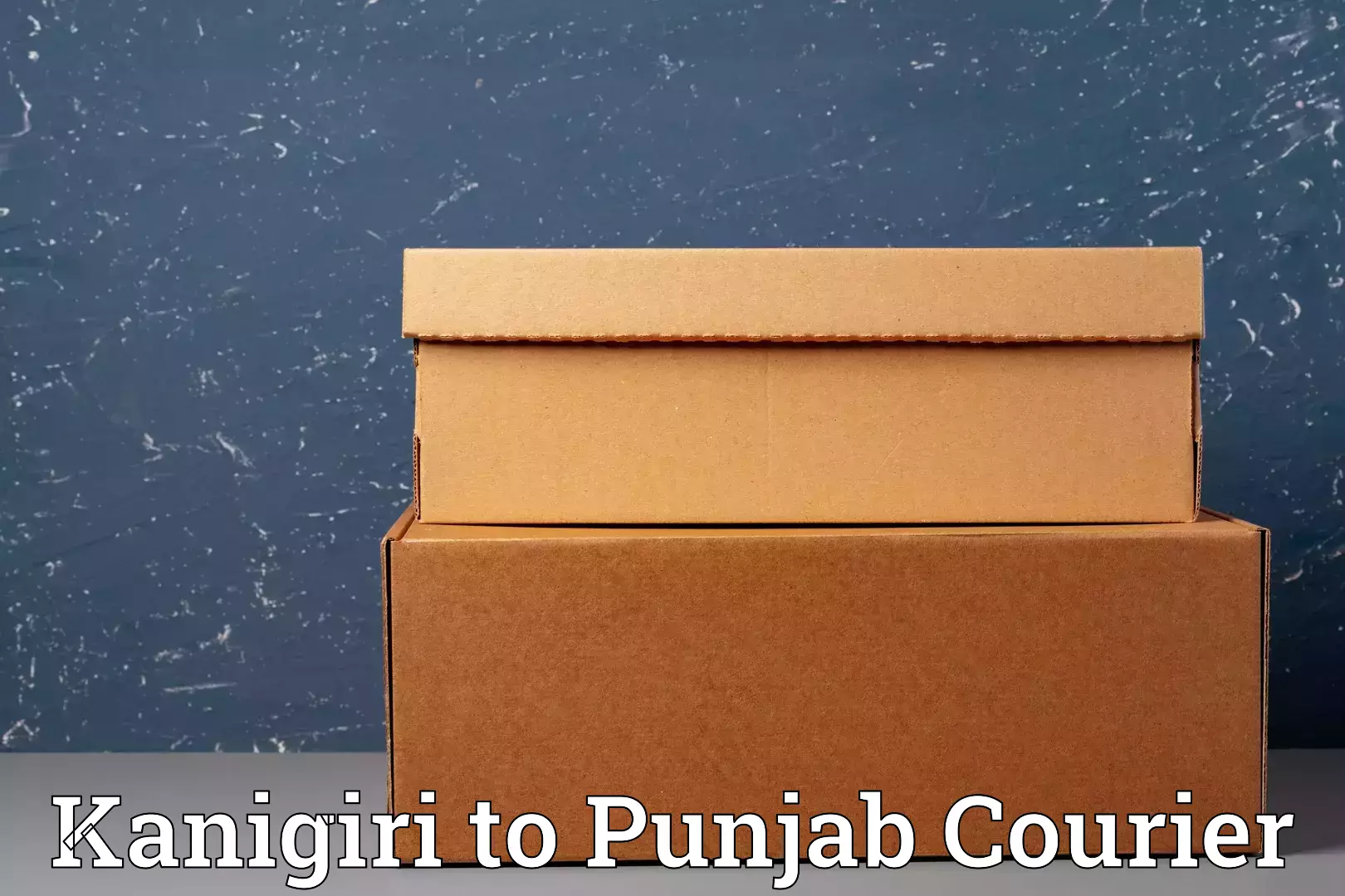 Baggage delivery optimization Kanigiri to Central University of Punjab Bathinda