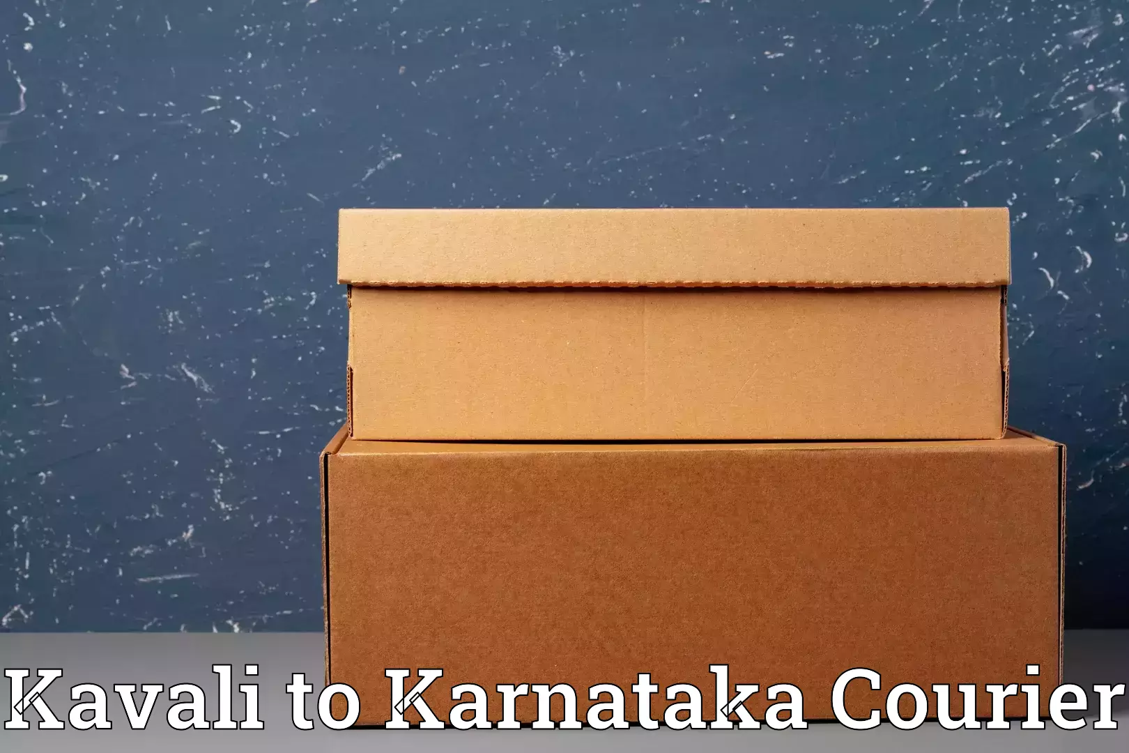 Affordable luggage courier Kavali to Eedu