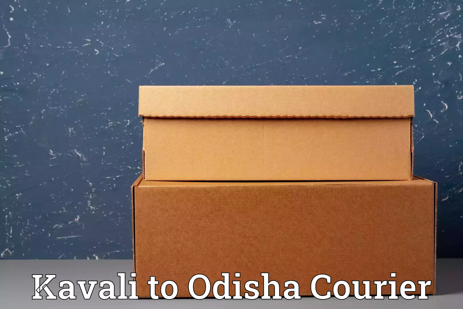 Versatile luggage courier Kavali to Padampur Bargarh