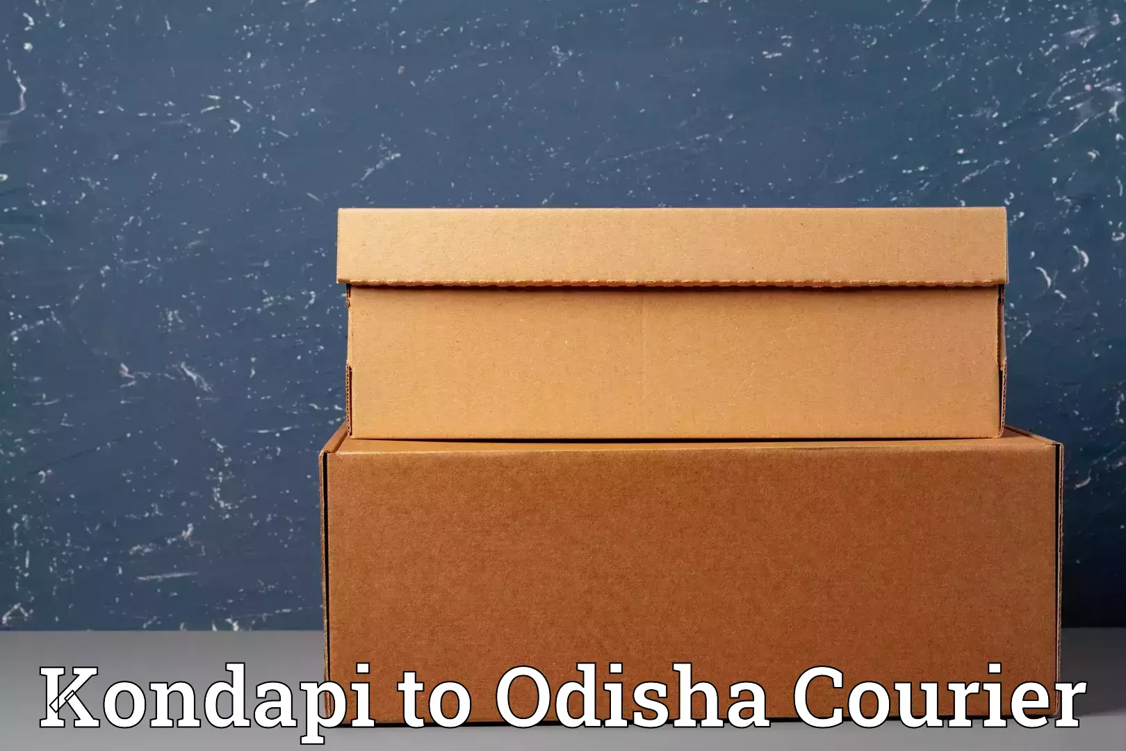 Citywide baggage courier Kondapi to Pappadahandi