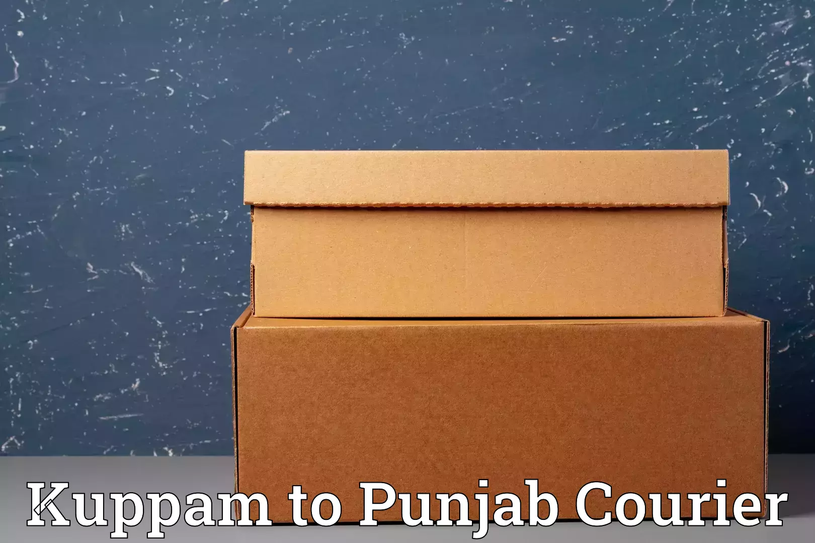 Baggage delivery support Kuppam to Faridkot