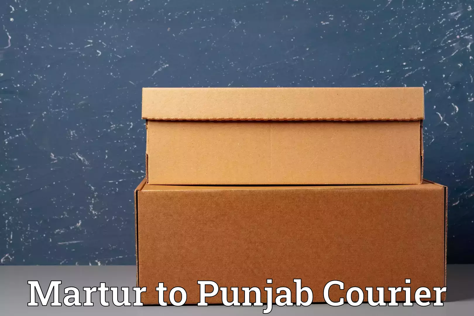 Citywide baggage courier Martur to Punjab