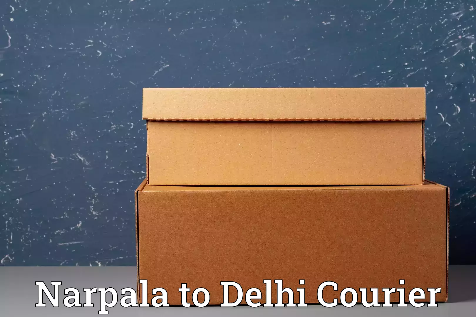 Baggage courier strategy Narpala to Indraprastha