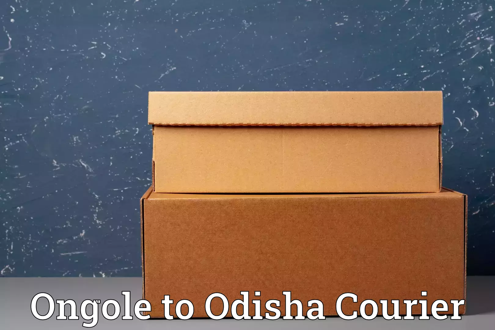 Advanced baggage shipping Ongole to Bhawanipatna