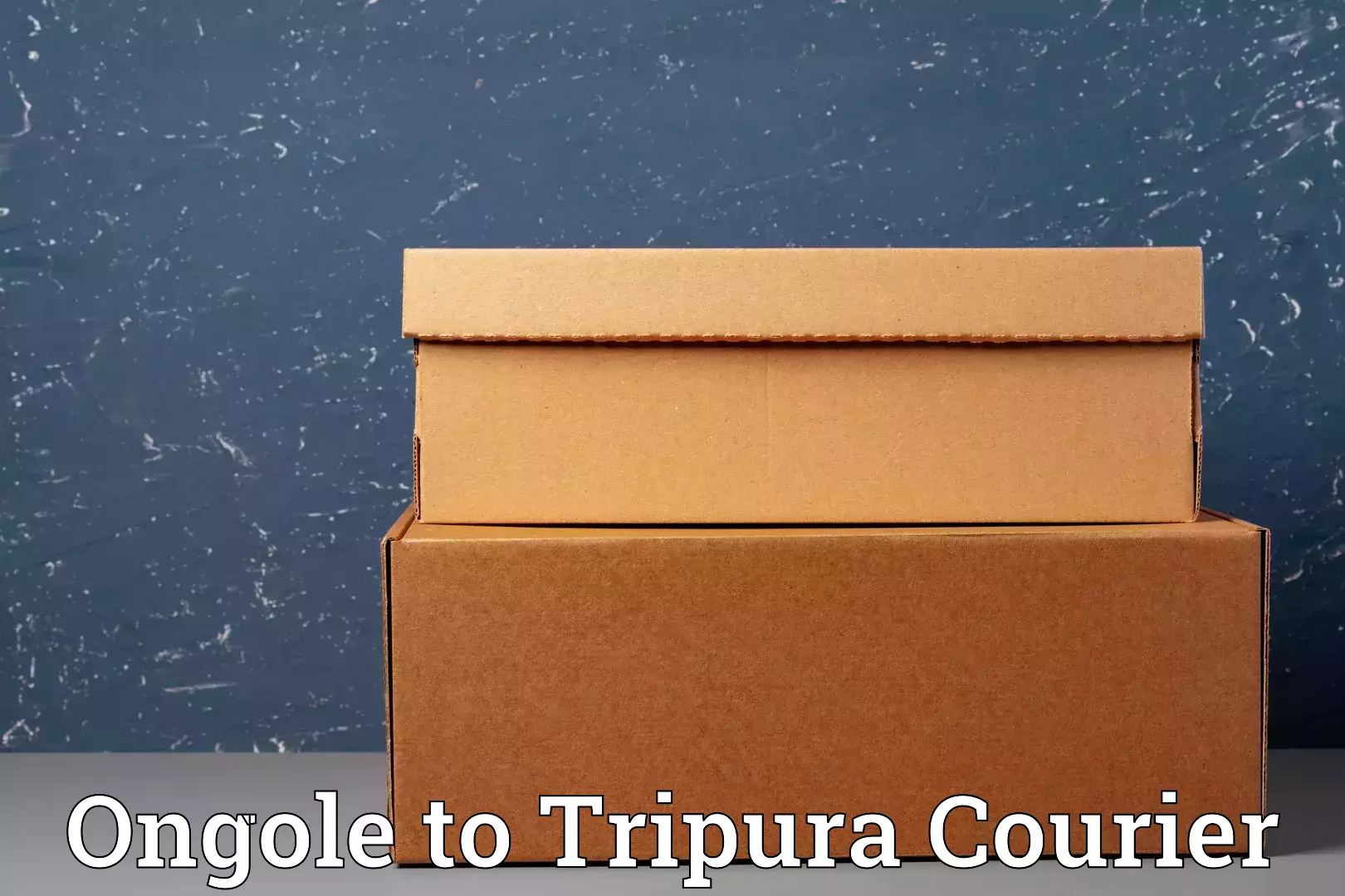 Baggage shipping service Ongole to Udaipur Tripura