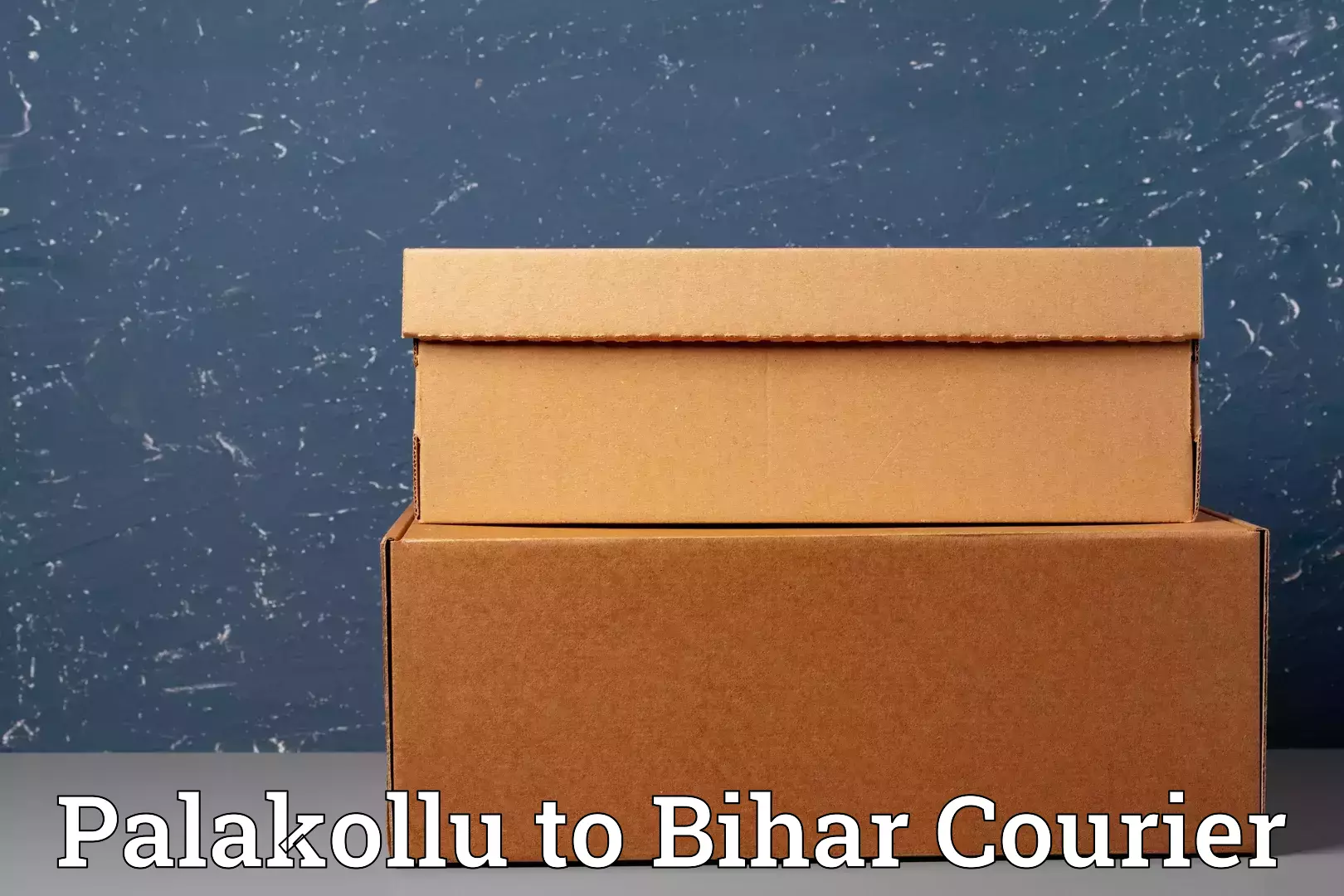 Flexible luggage courier service Palakollu to Barachati