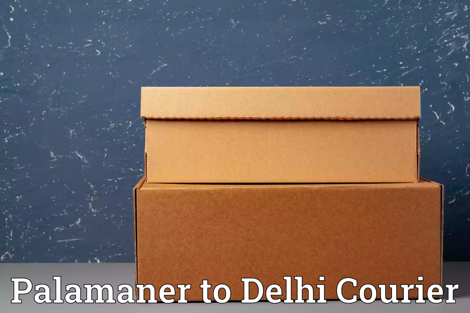 Round trip baggage courier Palamaner to Delhi