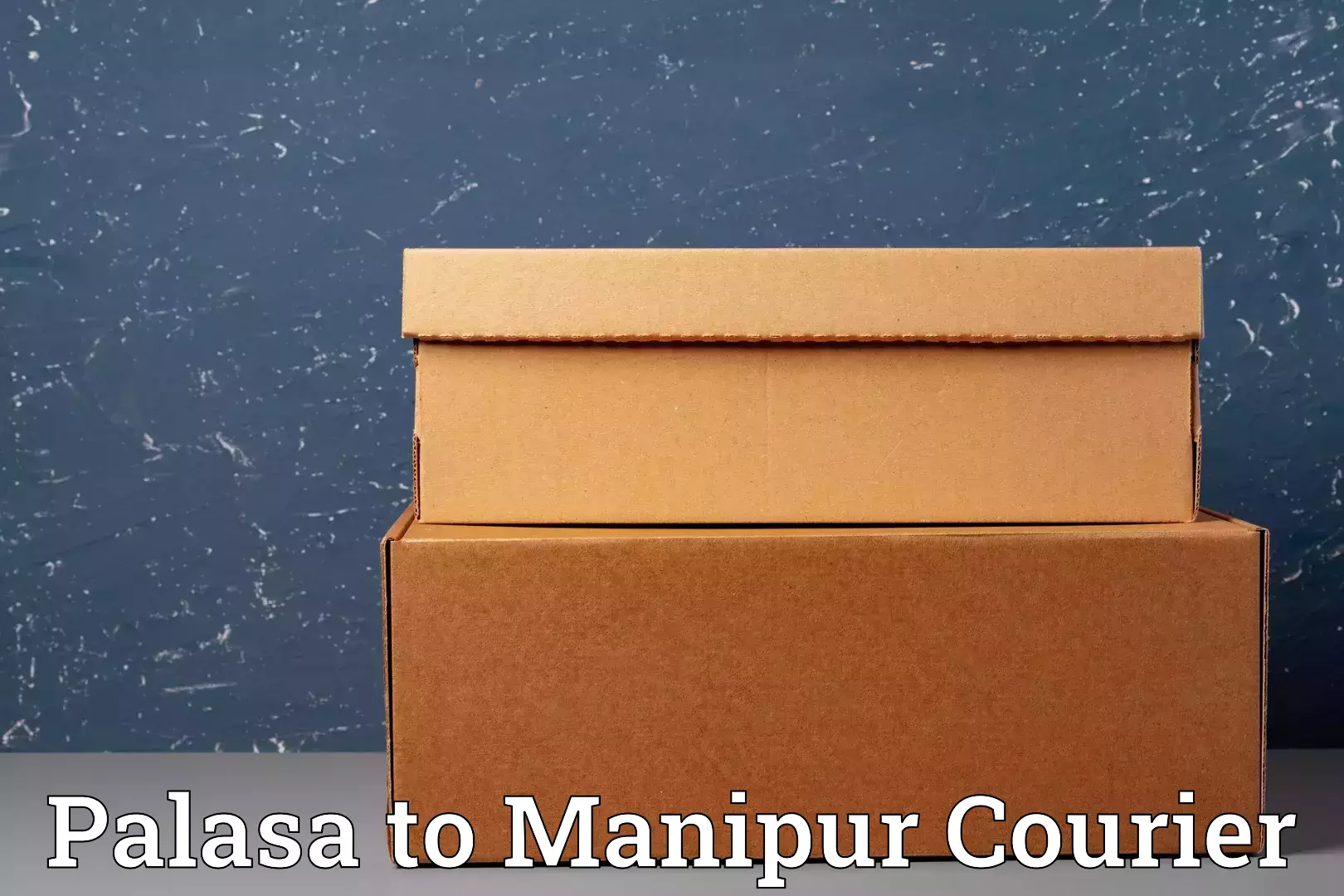 Baggage courier strategy Palasa to Moirang