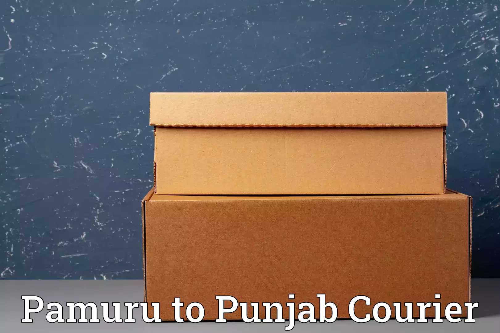 International baggage delivery Pamuru to Zirakpur