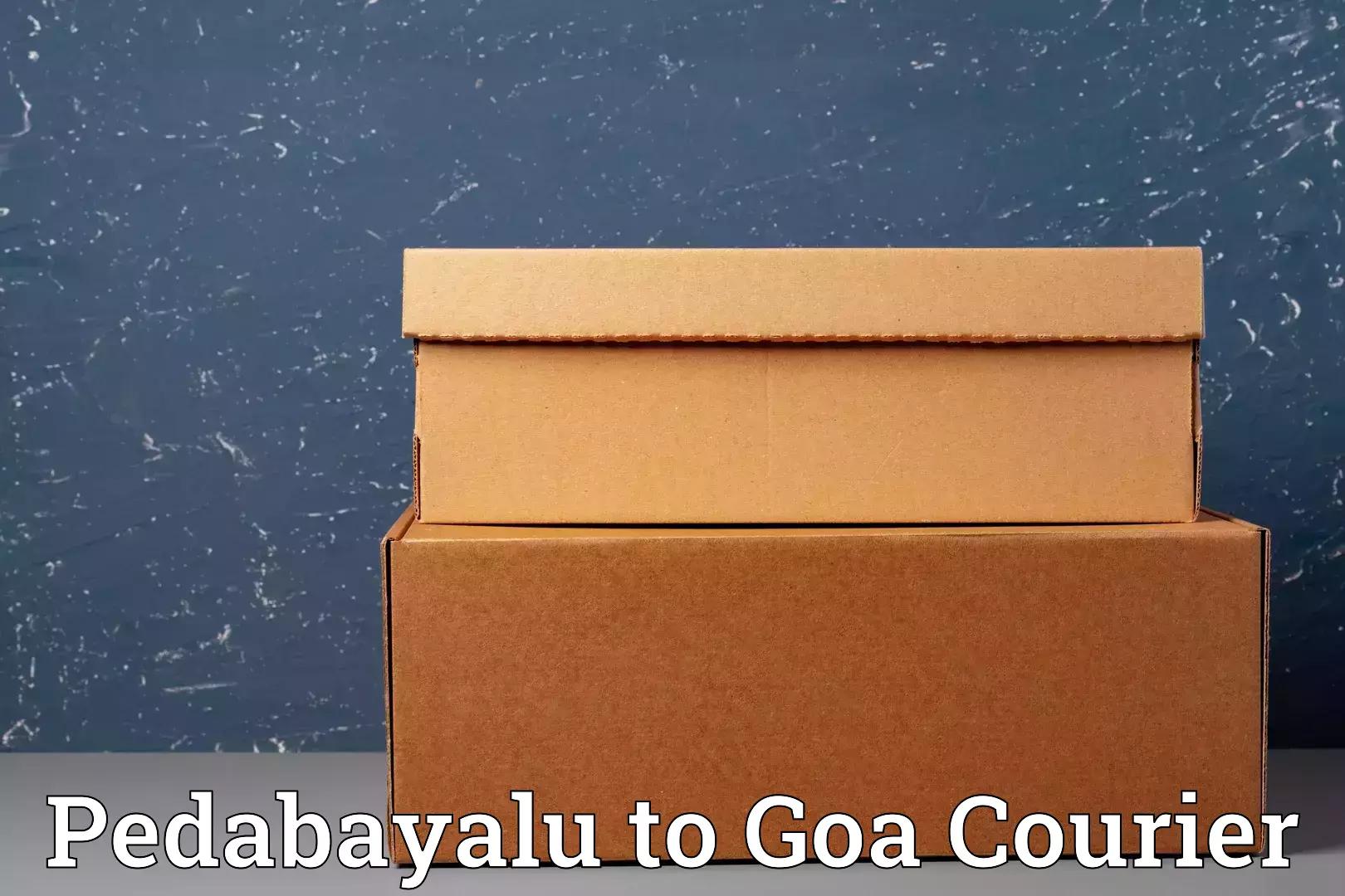 International baggage delivery Pedabayalu to Margao