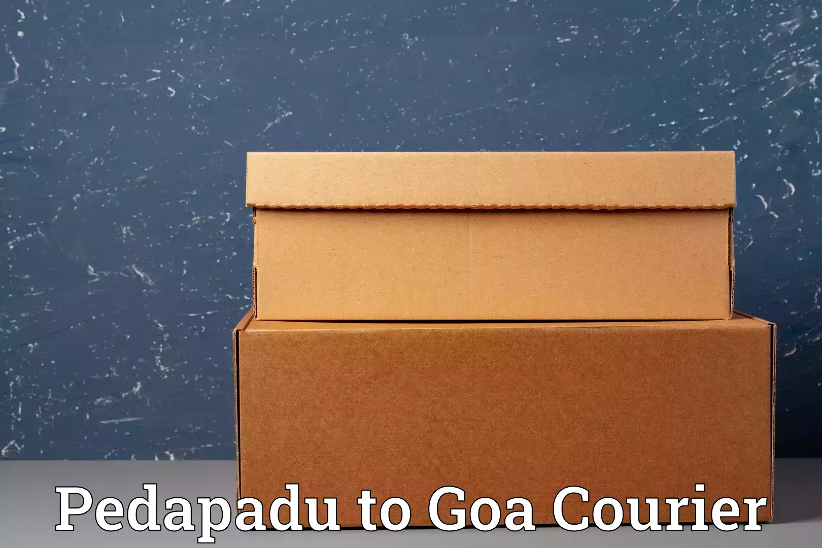 Luggage transit service Pedapadu to Panjim