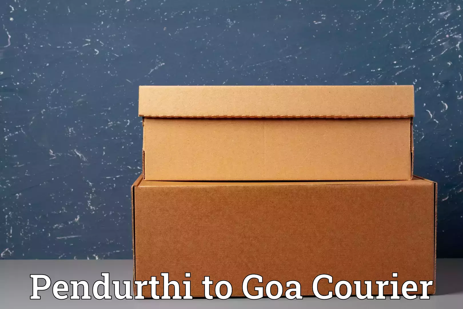 Excess baggage transport Pendurthi to IIT Goa