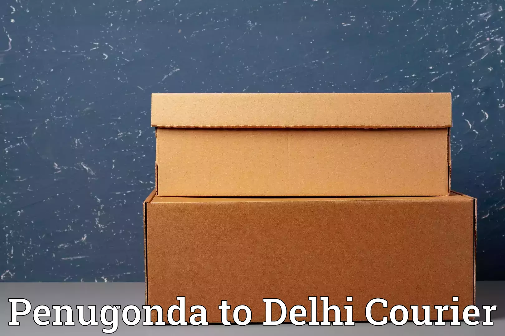 Baggage transport scheduler Penugonda to Jamia Hamdard New Delhi