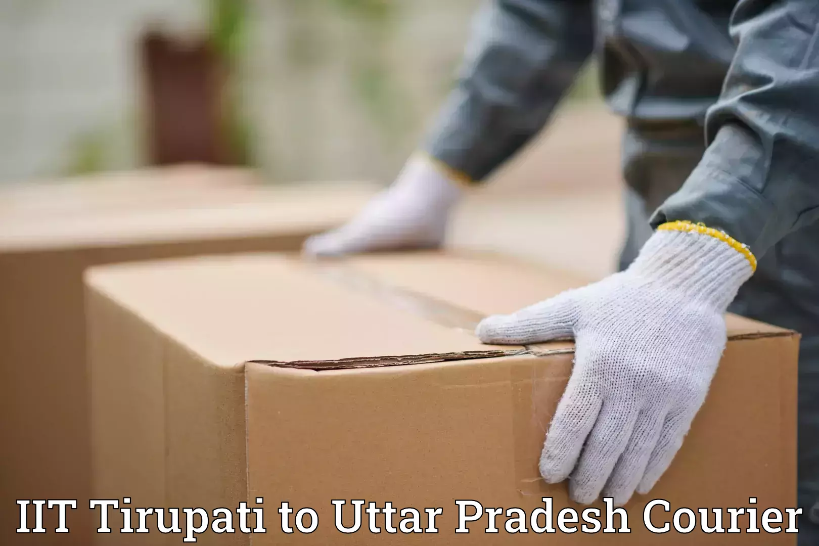 Customized luggage delivery IIT Tirupati to Naugarh