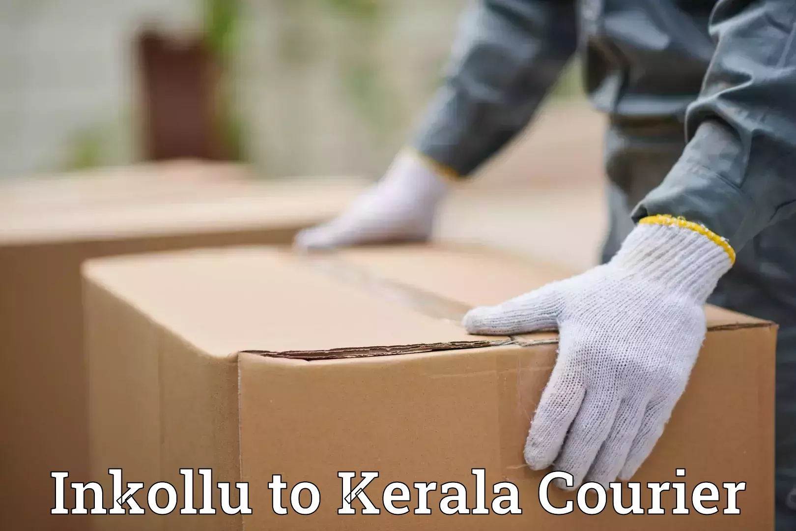 Electronic items luggage shipping Inkollu to Kannur