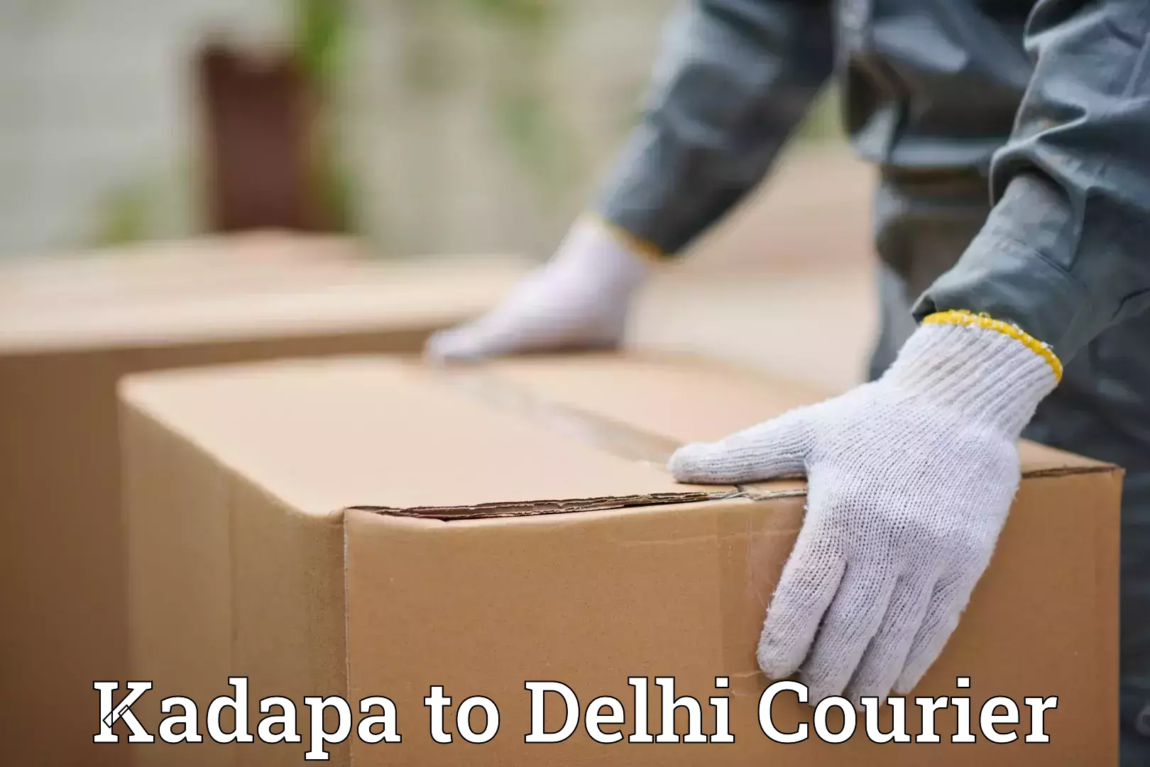 Luggage shipping guide Kadapa to Guru Gobind Singh Indraprastha University New Delhi