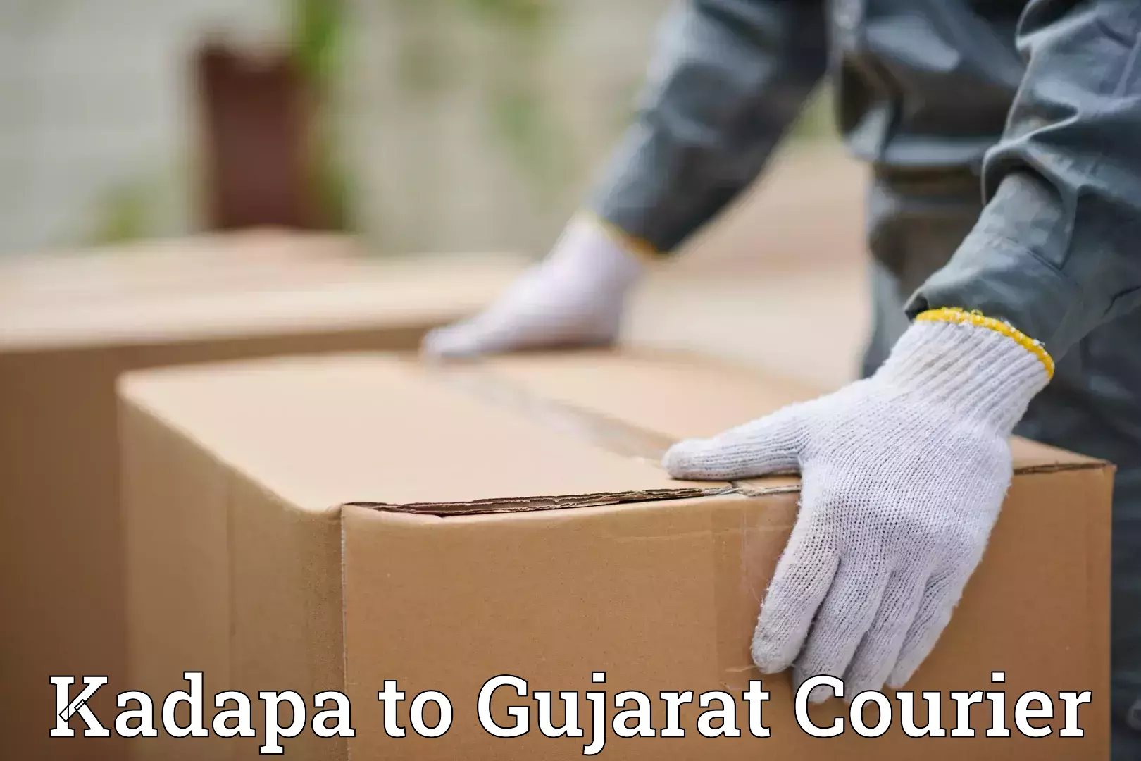 Efficient baggage courier system Kadapa to Patan Gujarat