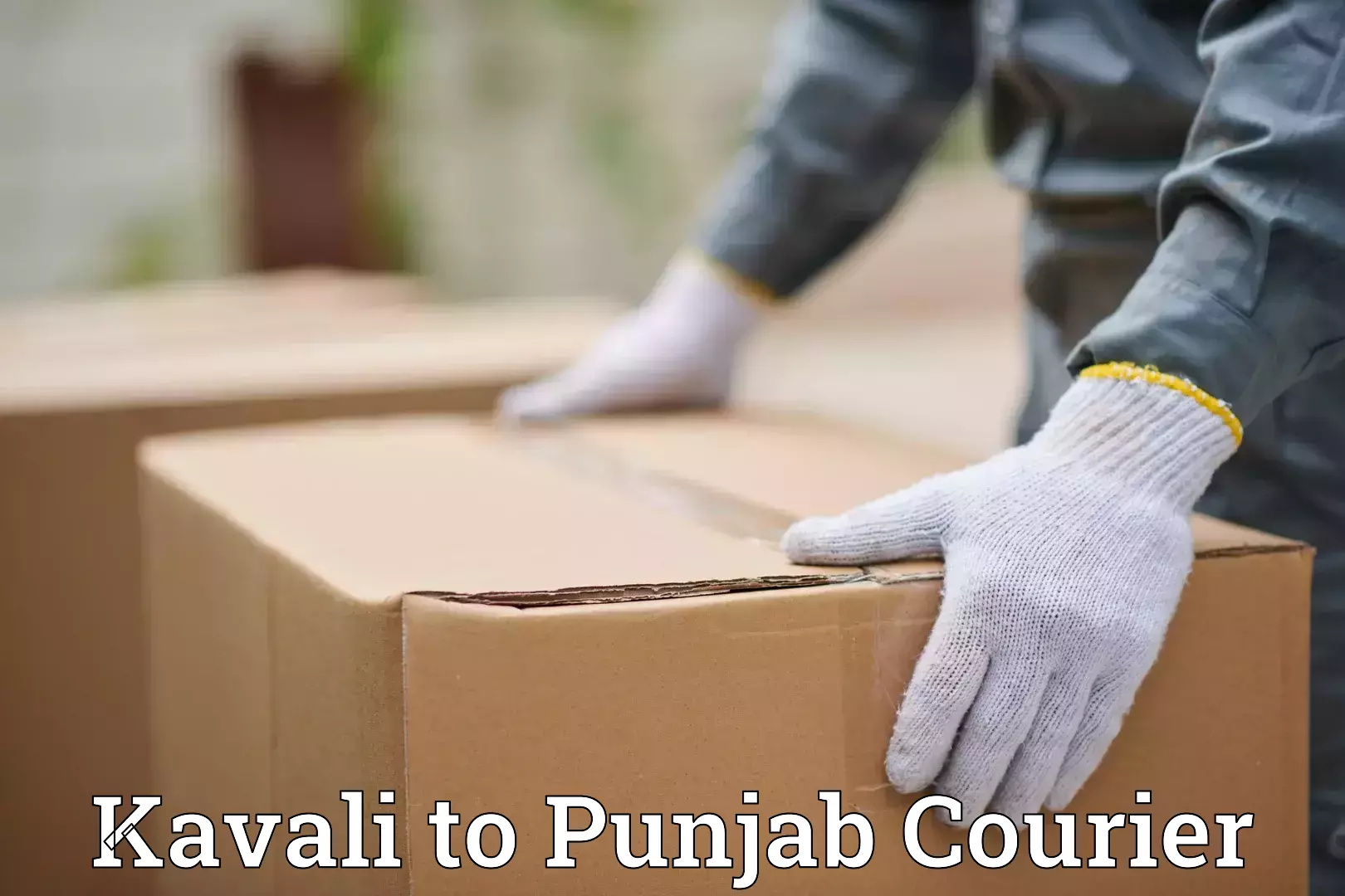 Baggage courier calculator Kavali to Phillaur