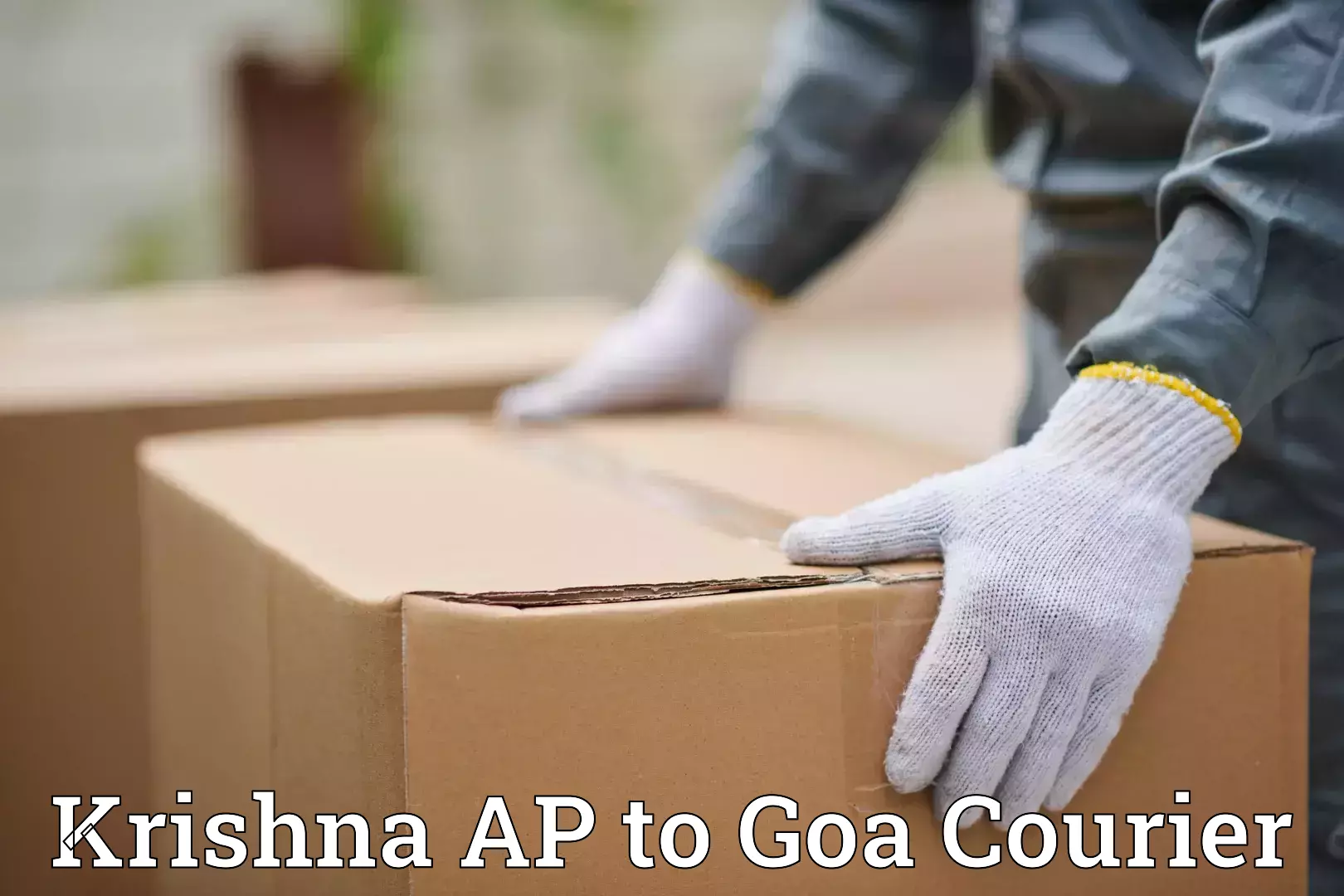 Baggage courier FAQs Krishna AP to Panjim