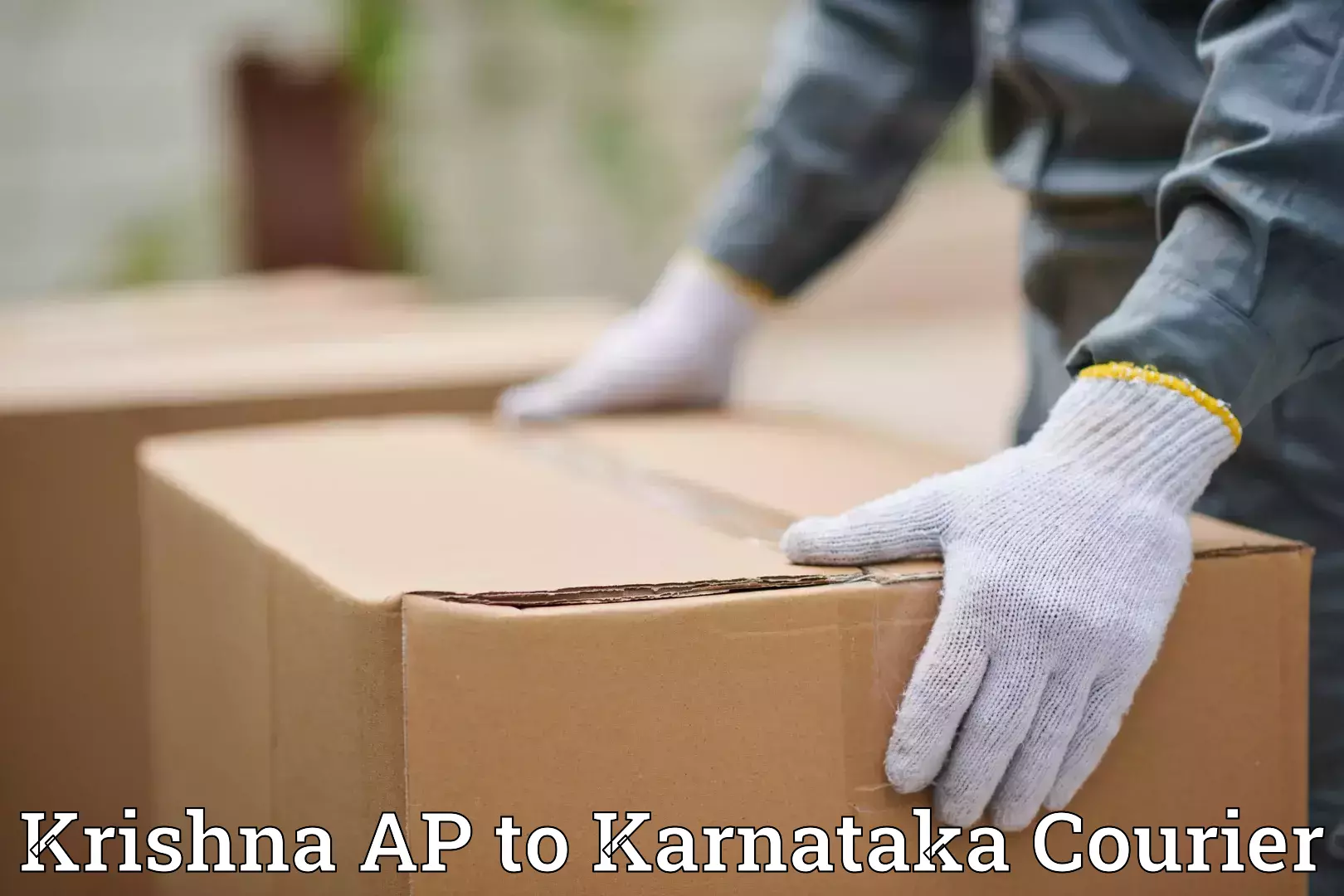 Local baggage delivery in Krishna AP to Yelburga