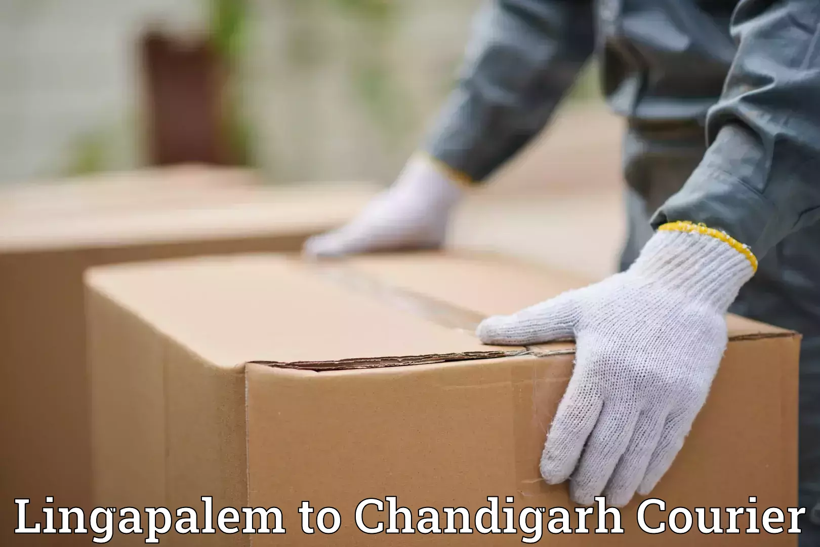 Baggage delivery planning Lingapalem to Panjab University Chandigarh