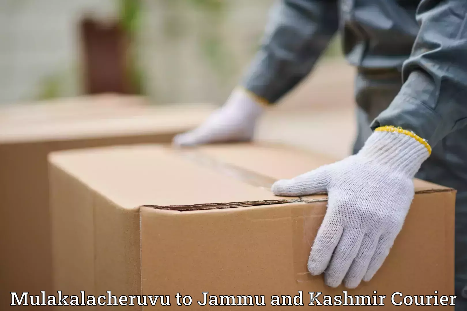 Holiday season luggage delivery in Mulakalacheruvu to University of Kashmir Srinagar