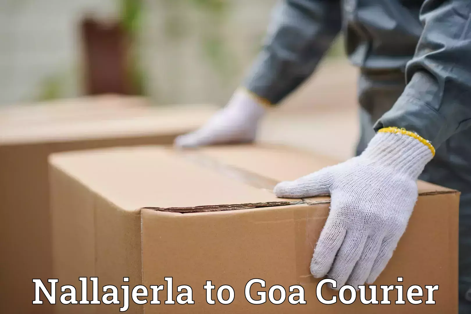 Baggage courier optimization Nallajerla to Panaji