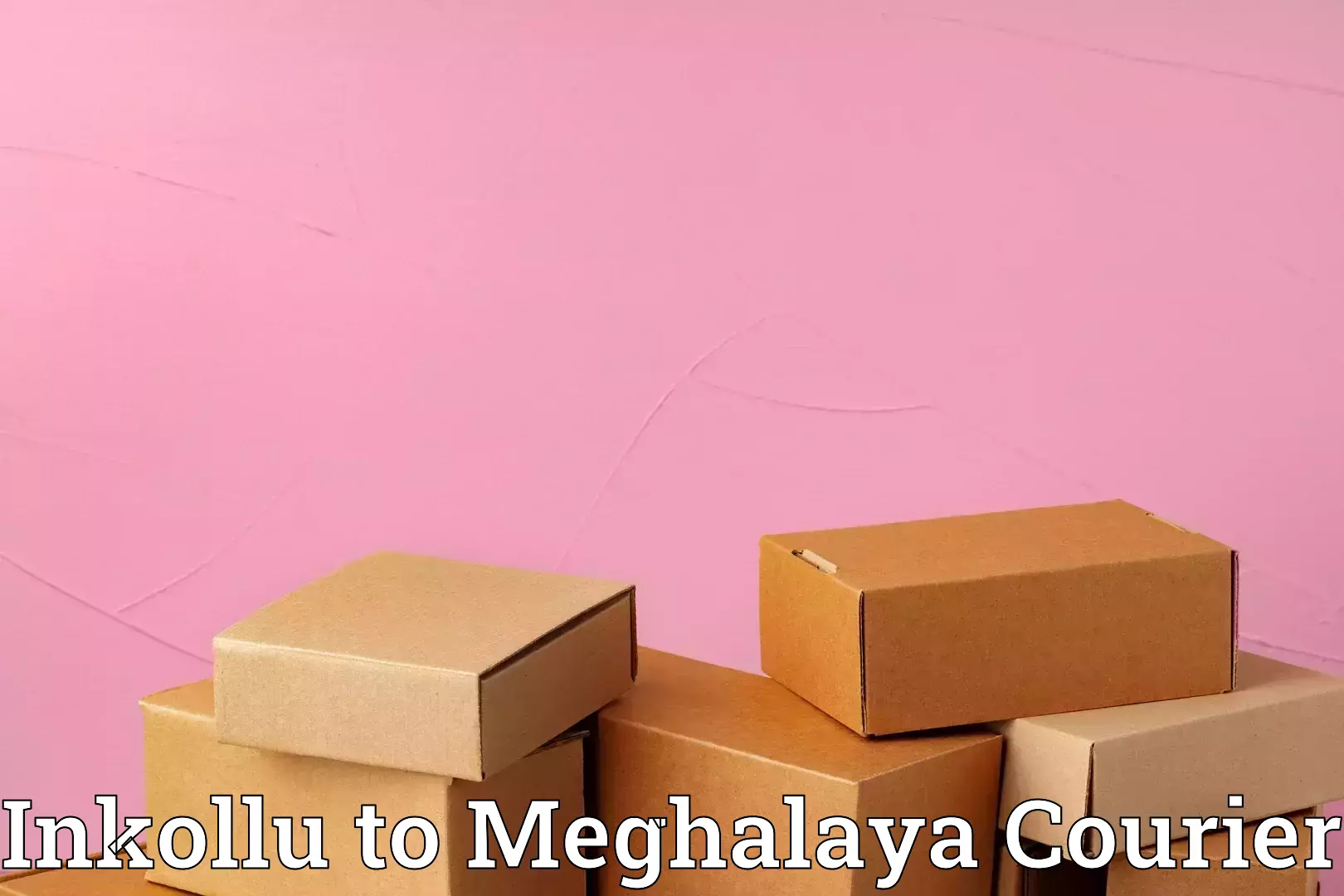 Baggage courier service Inkollu to Meghalaya