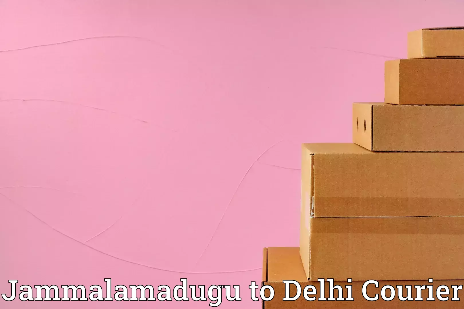 Hotel to Door baggage transport Jammalamadugu to NIT Delhi