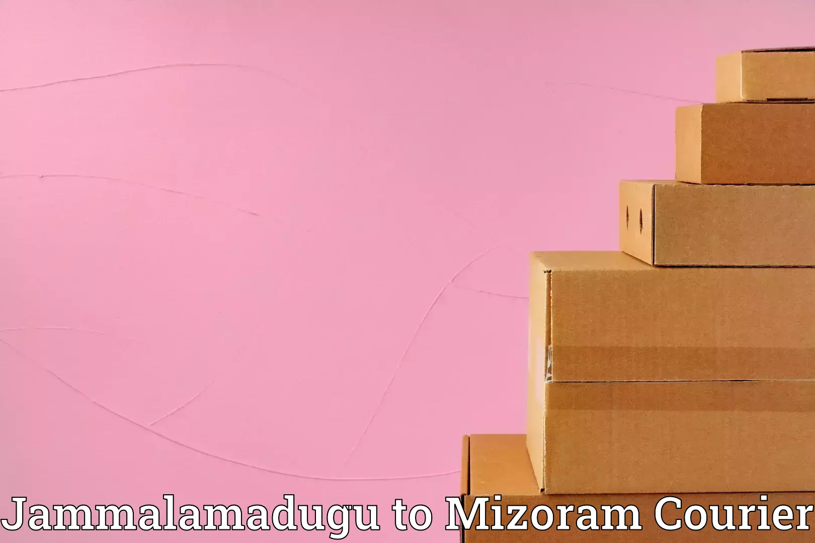 Versatile luggage courier Jammalamadugu to NIT Aizawl