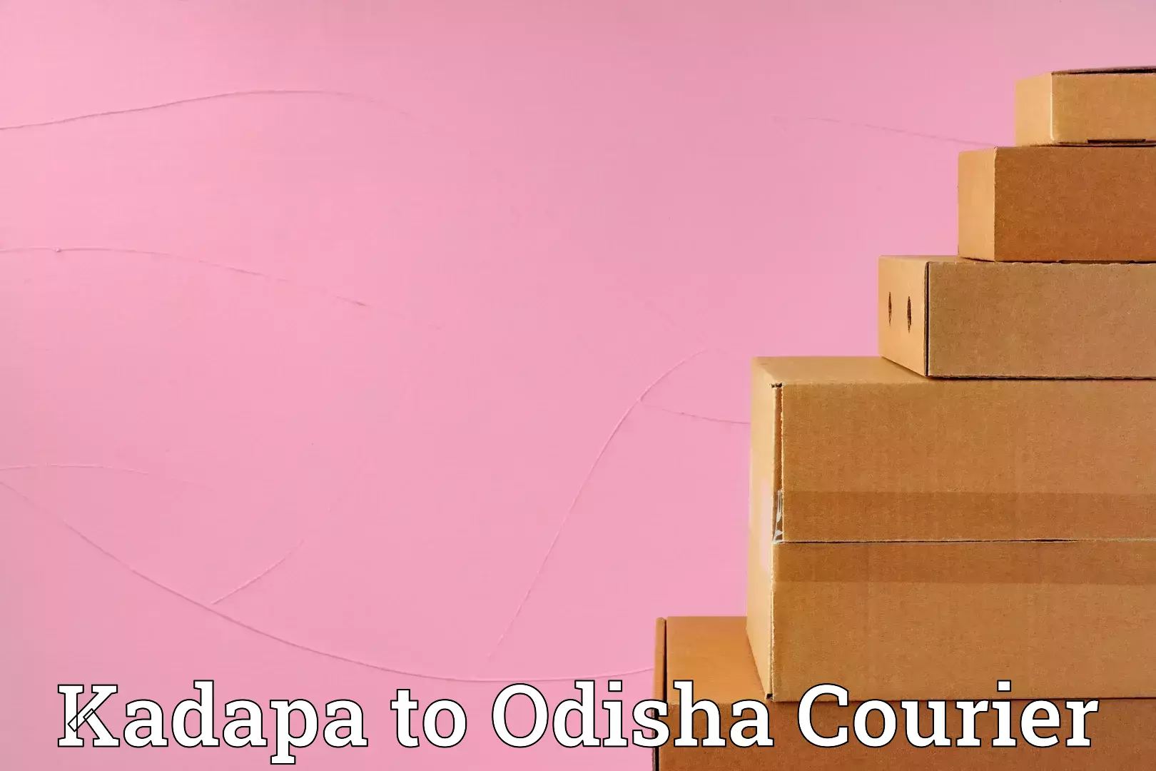 Festival baggage courier Kadapa to Dandisahi