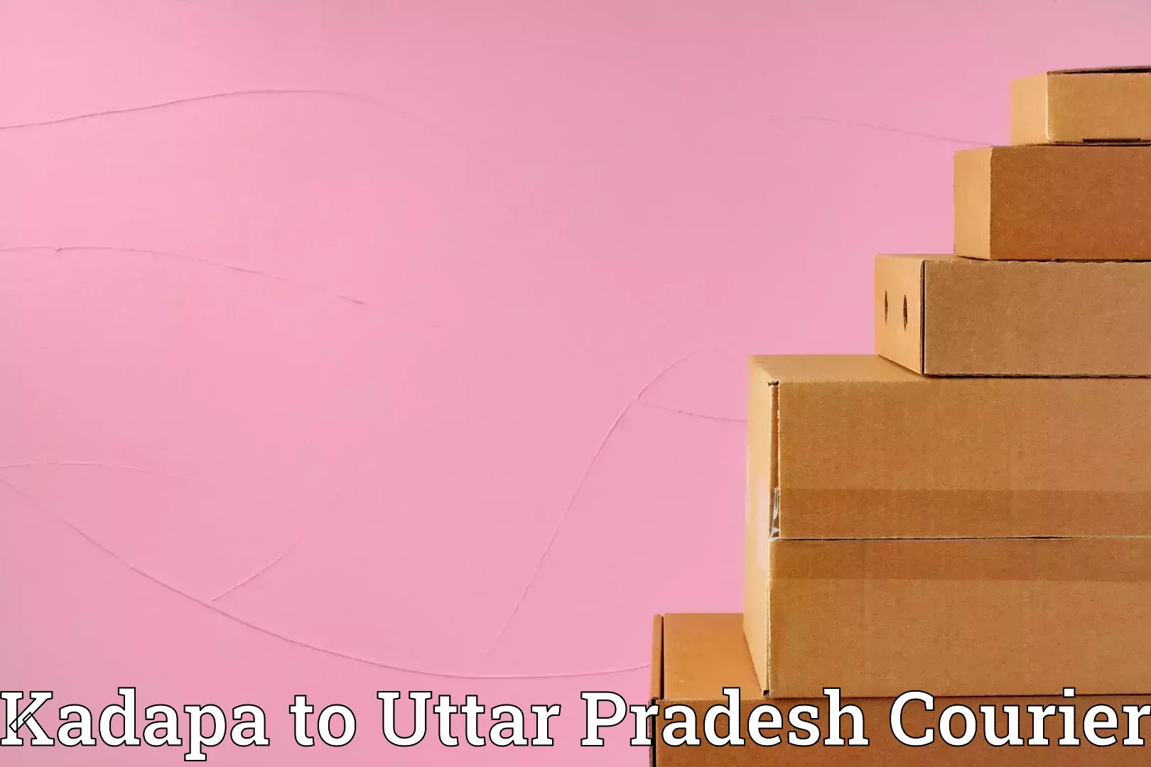 Unaccompanied luggage service Kadapa to Milak