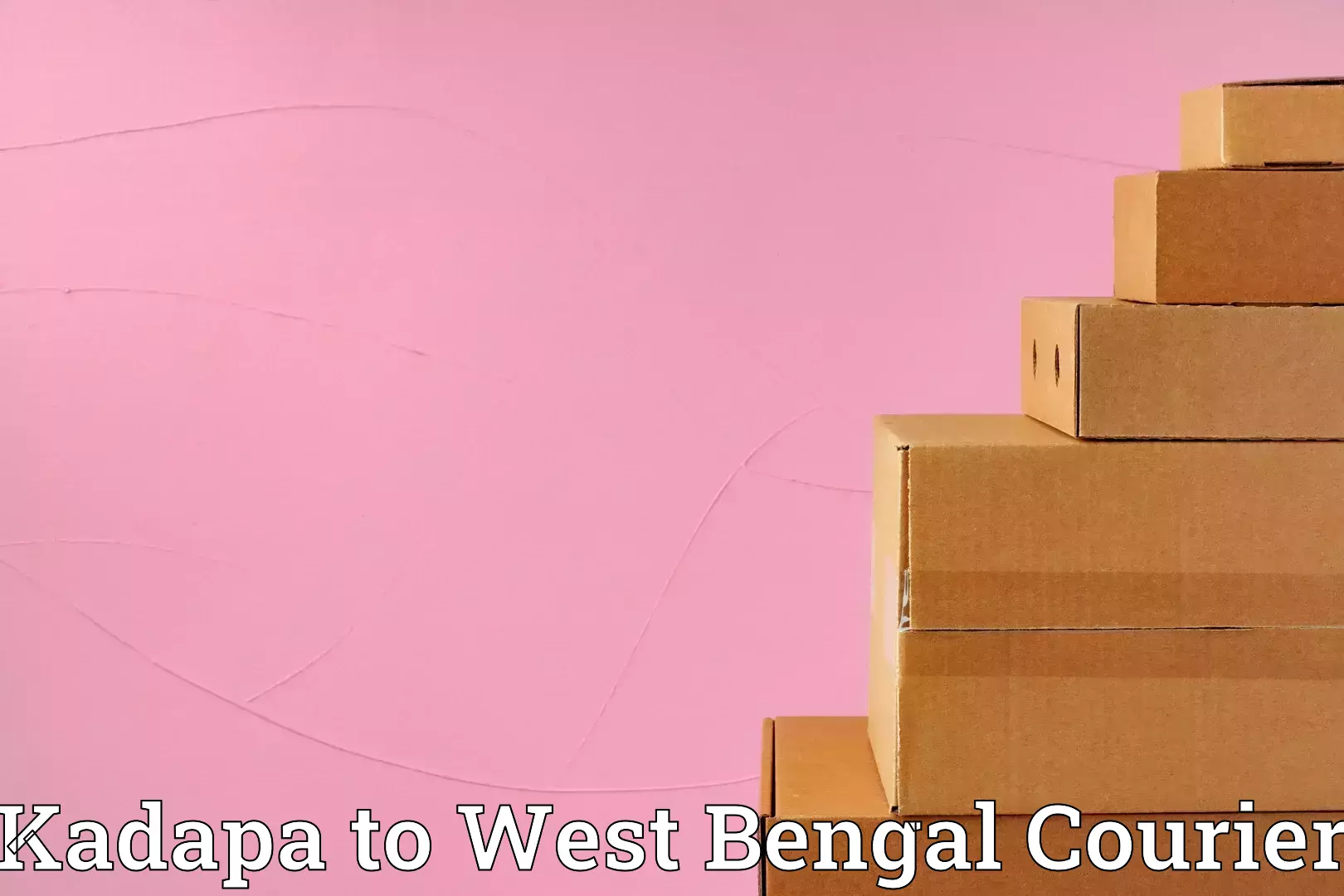 Single item baggage courier Kadapa to Uttar Dinajpur