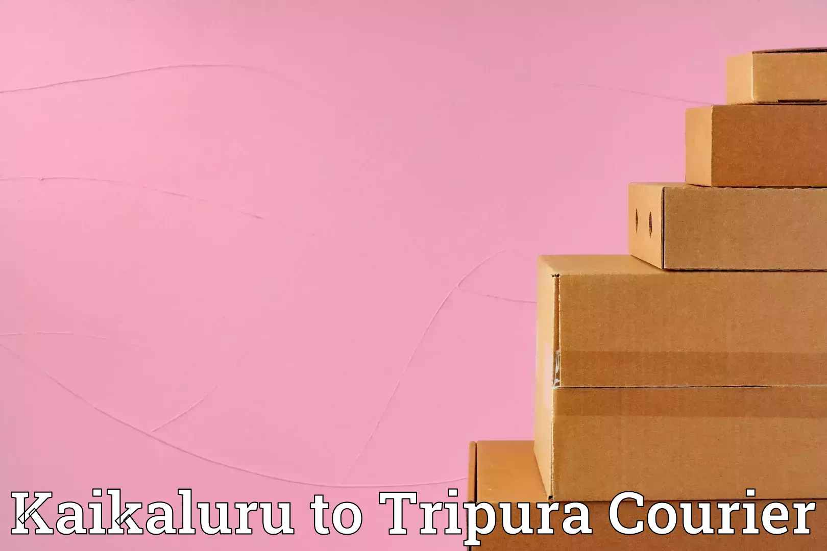 Luggage courier planning Kaikaluru to West Tripura