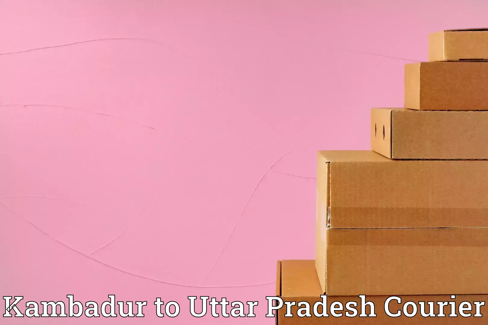 Comprehensive baggage courier Kambadur to Raebareli