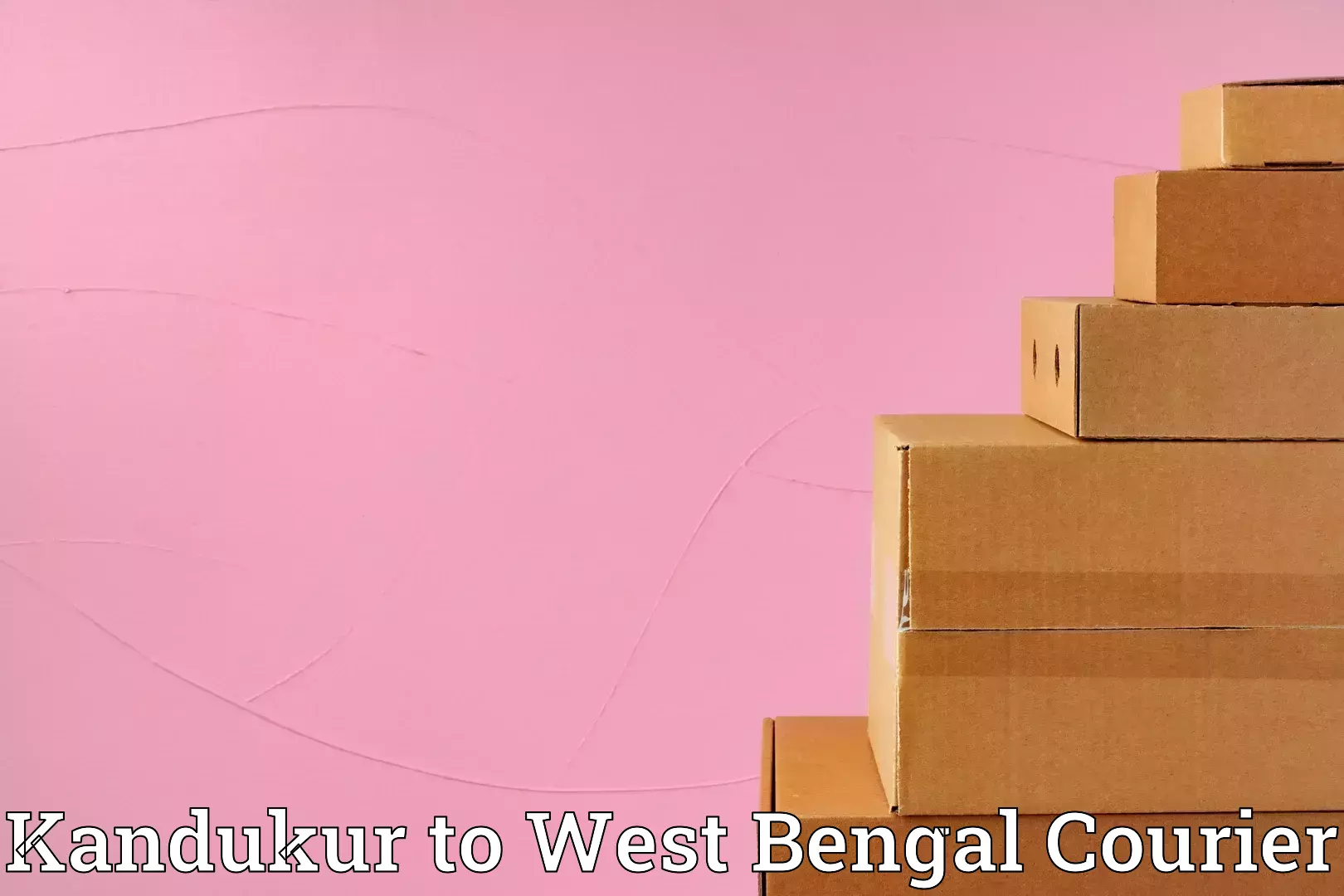 Luggage shipping options Kandukur to Medinipur