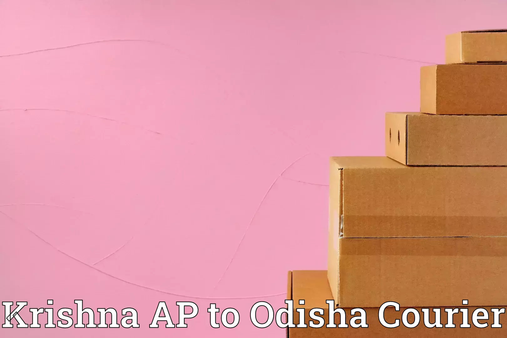 Personal baggage courier Krishna AP to Kendrapara