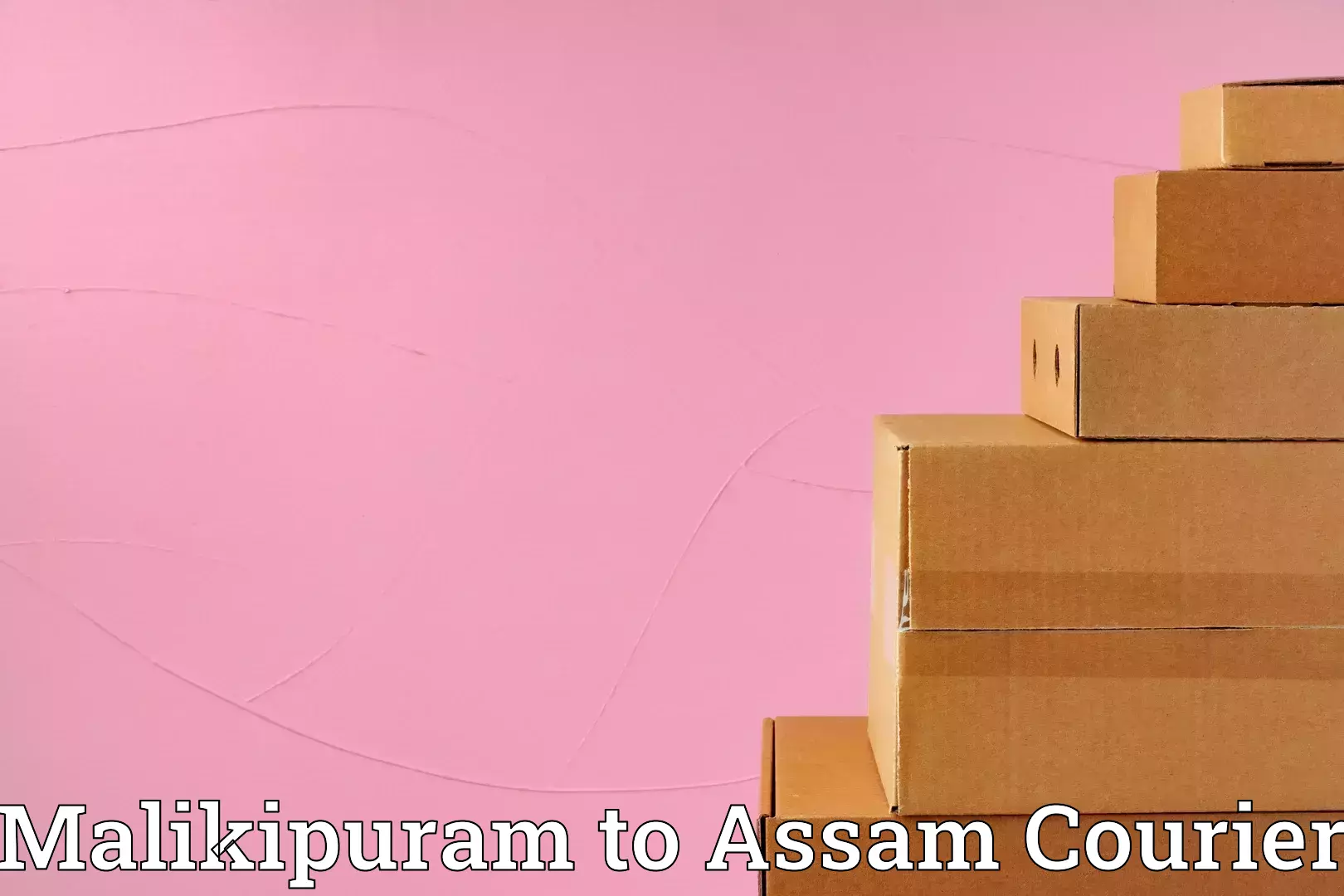 Single item baggage courier Malikipuram to Bokolia