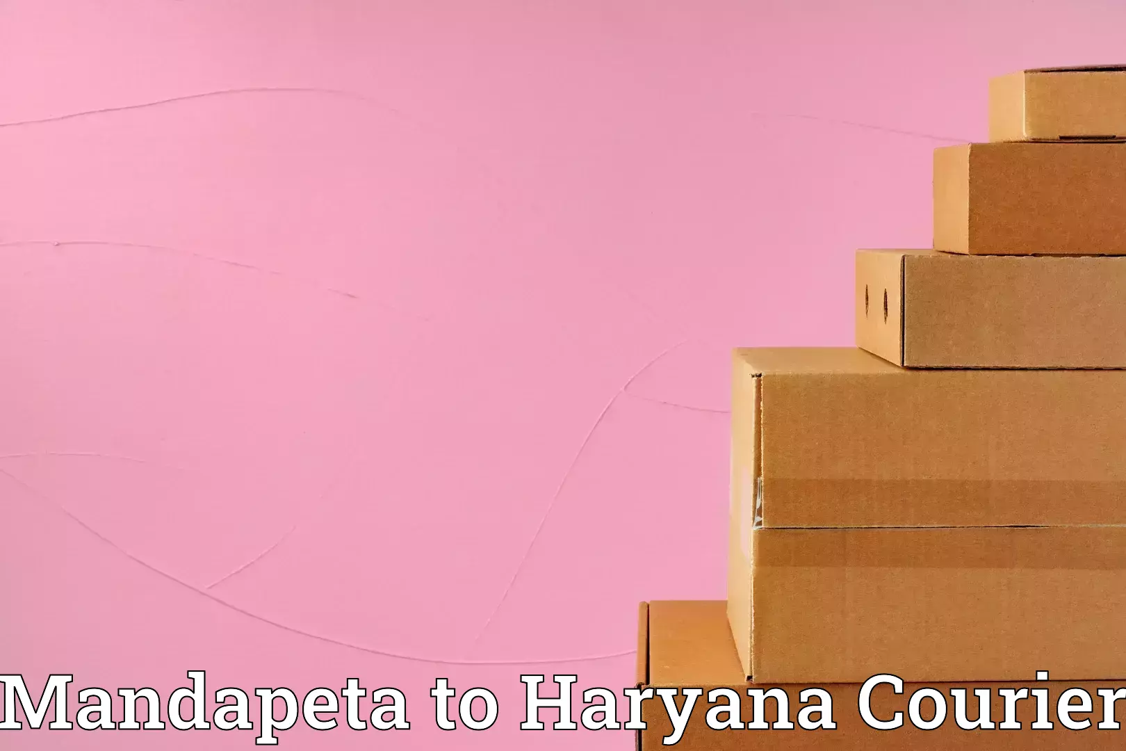 Budget-friendly baggage courier Mandapeta to Faridabad