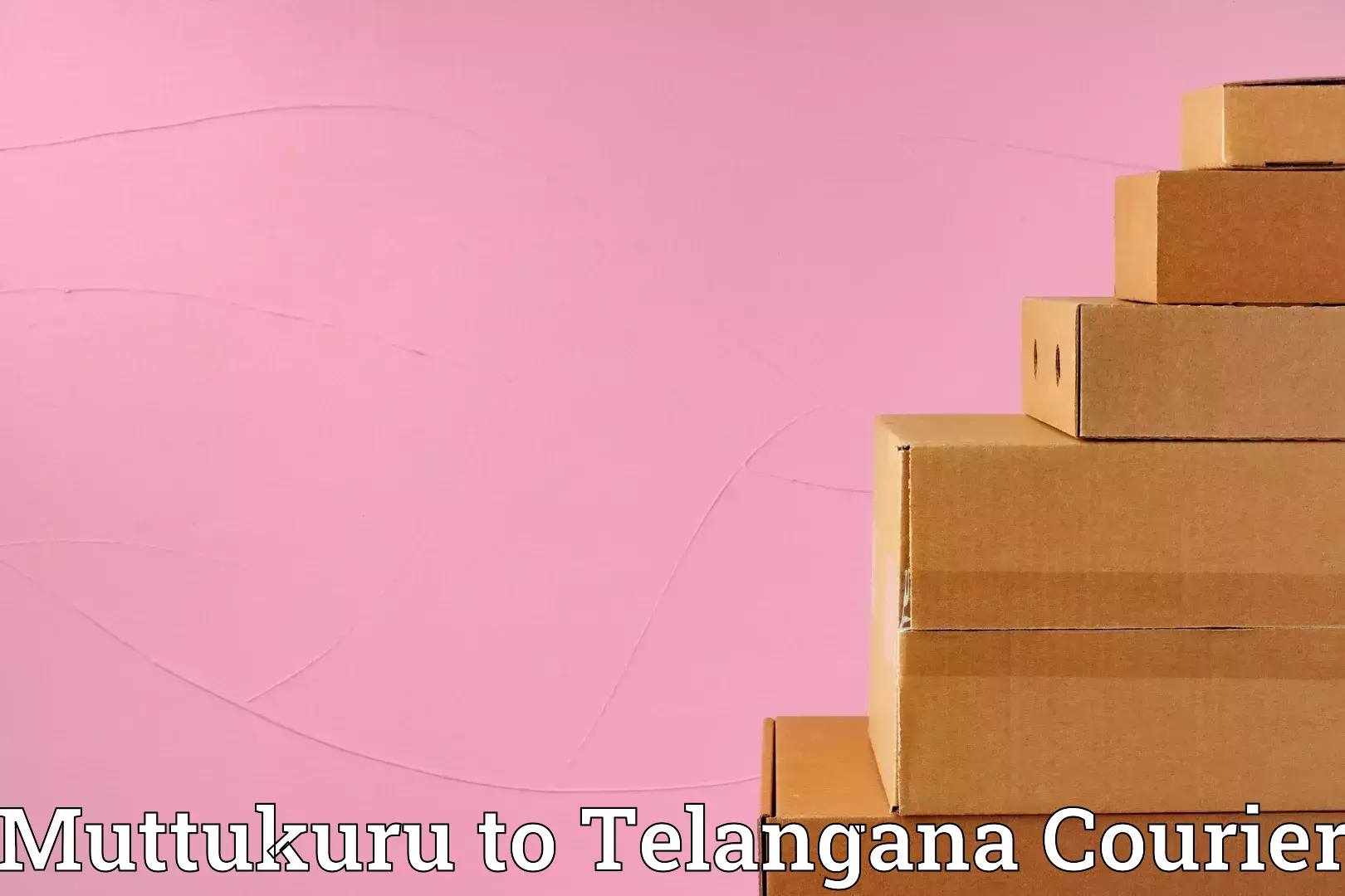 Heavy luggage shipping Muttukuru to Bhadrachalam