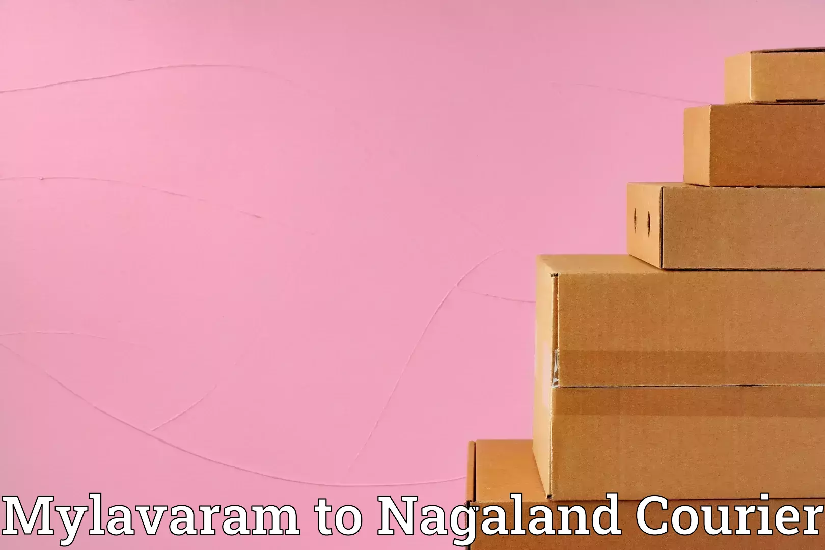 Baggage courier insights in Mylavaram to Peren