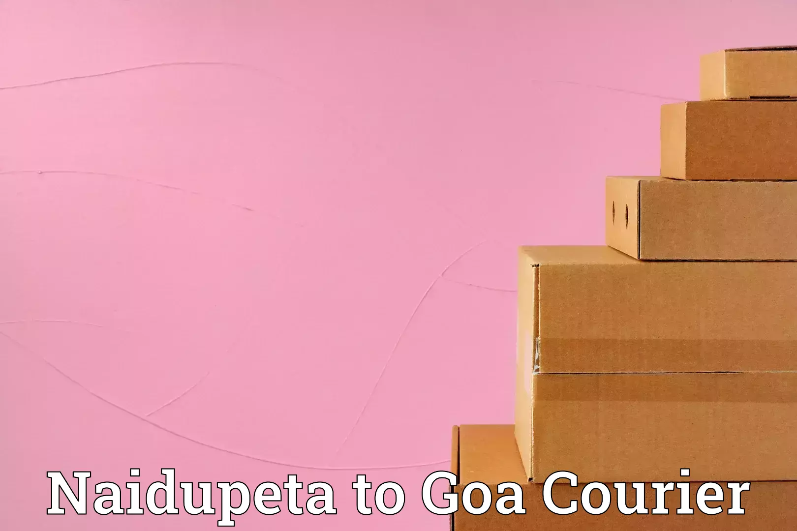 Professional baggage delivery Naidupeta to Goa