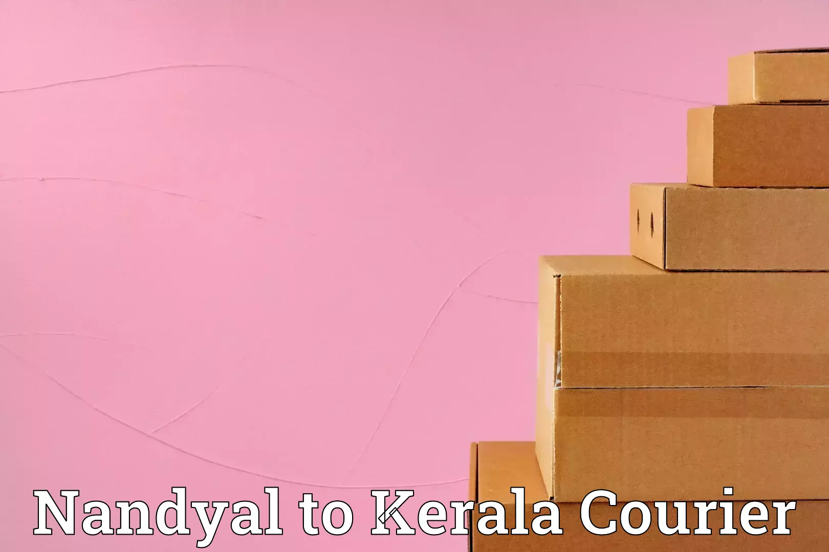 Airport luggage delivery Nandyal to Mundakayam