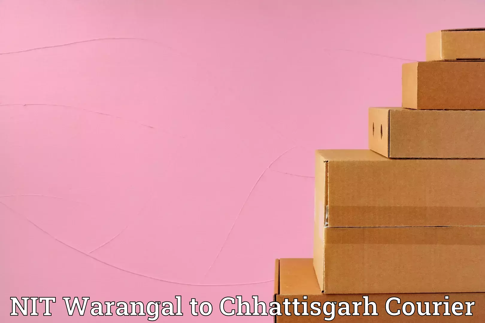 Electronic items luggage shipping NIT Warangal to Korba