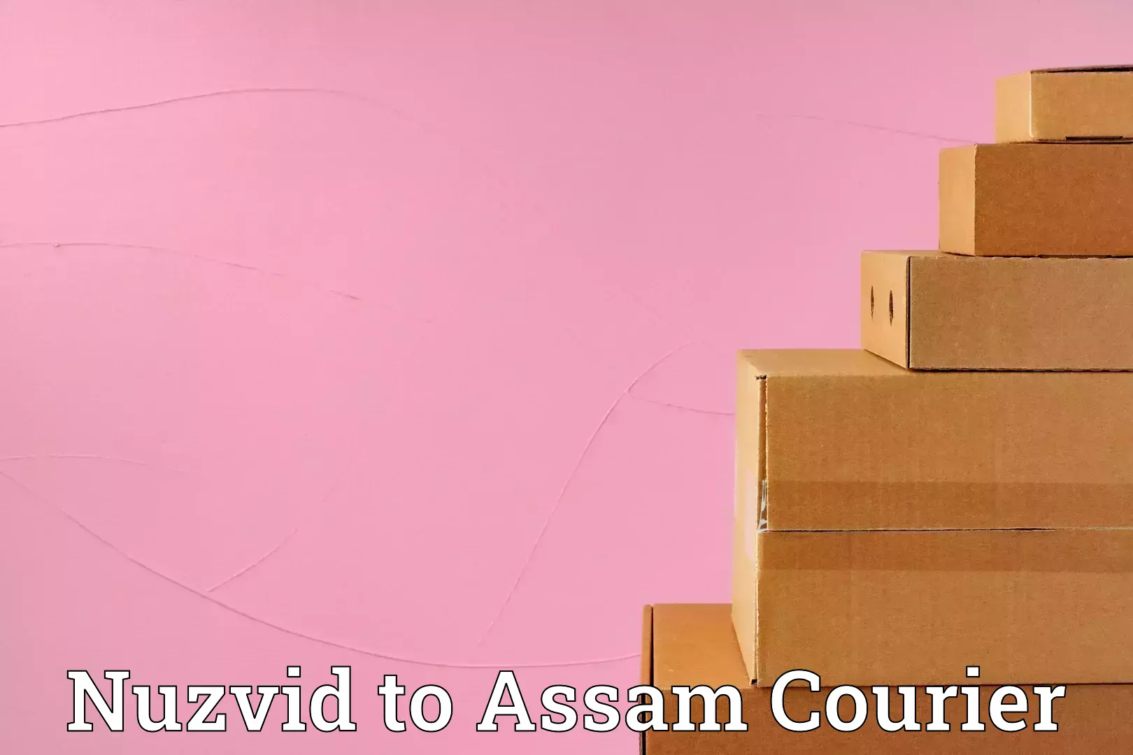 Round trip baggage courier Nuzvid to Tezpur University