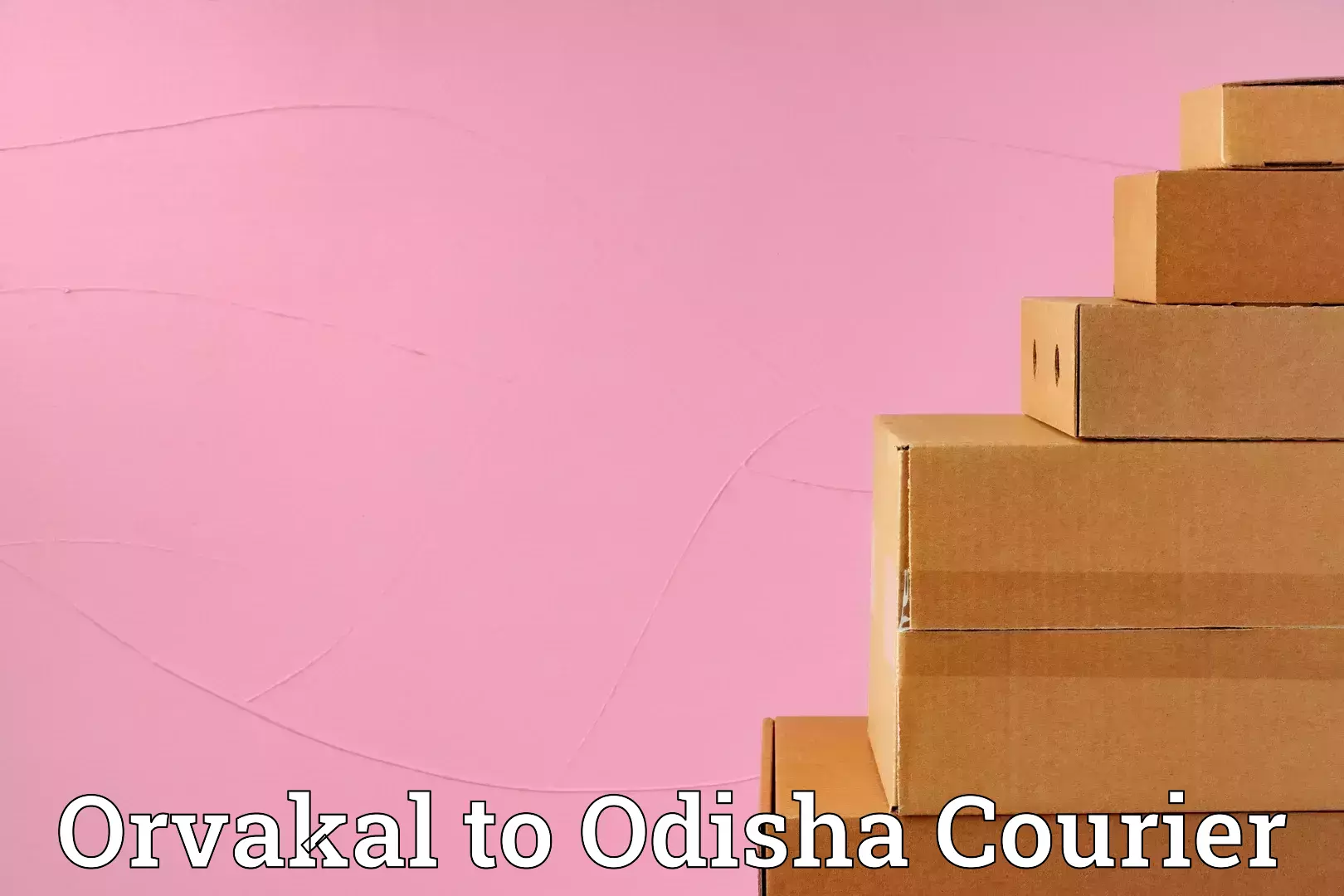 Baggage shipping experience Orvakal to Bheden