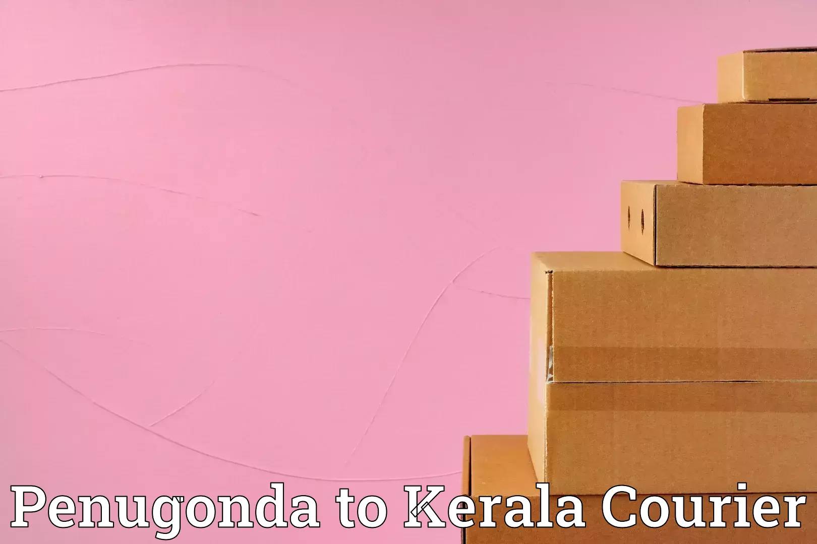 Baggage courier pricing Penugonda to Chavassery