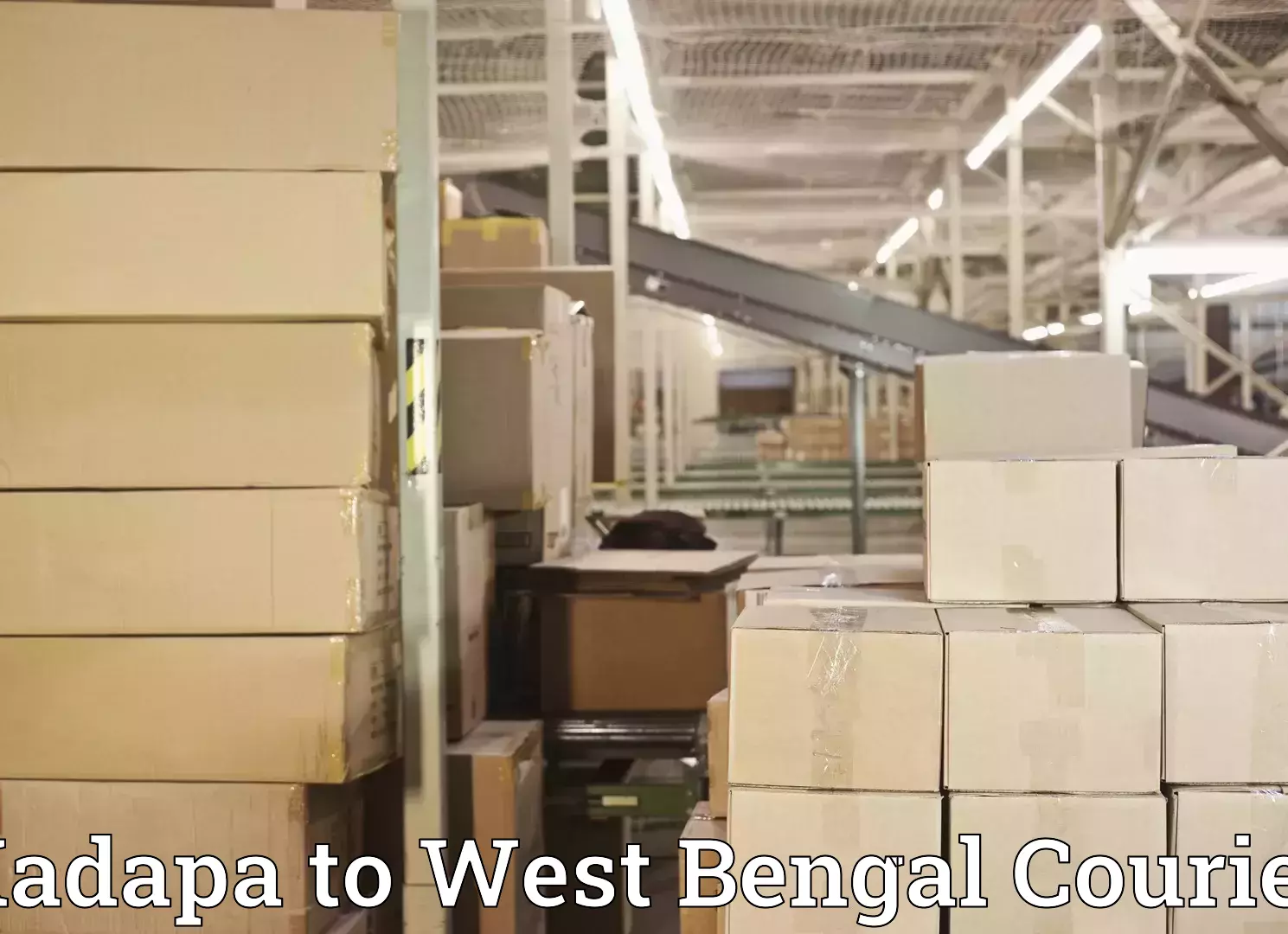 Baggage shipping experience Kadapa to Purba Medinipur